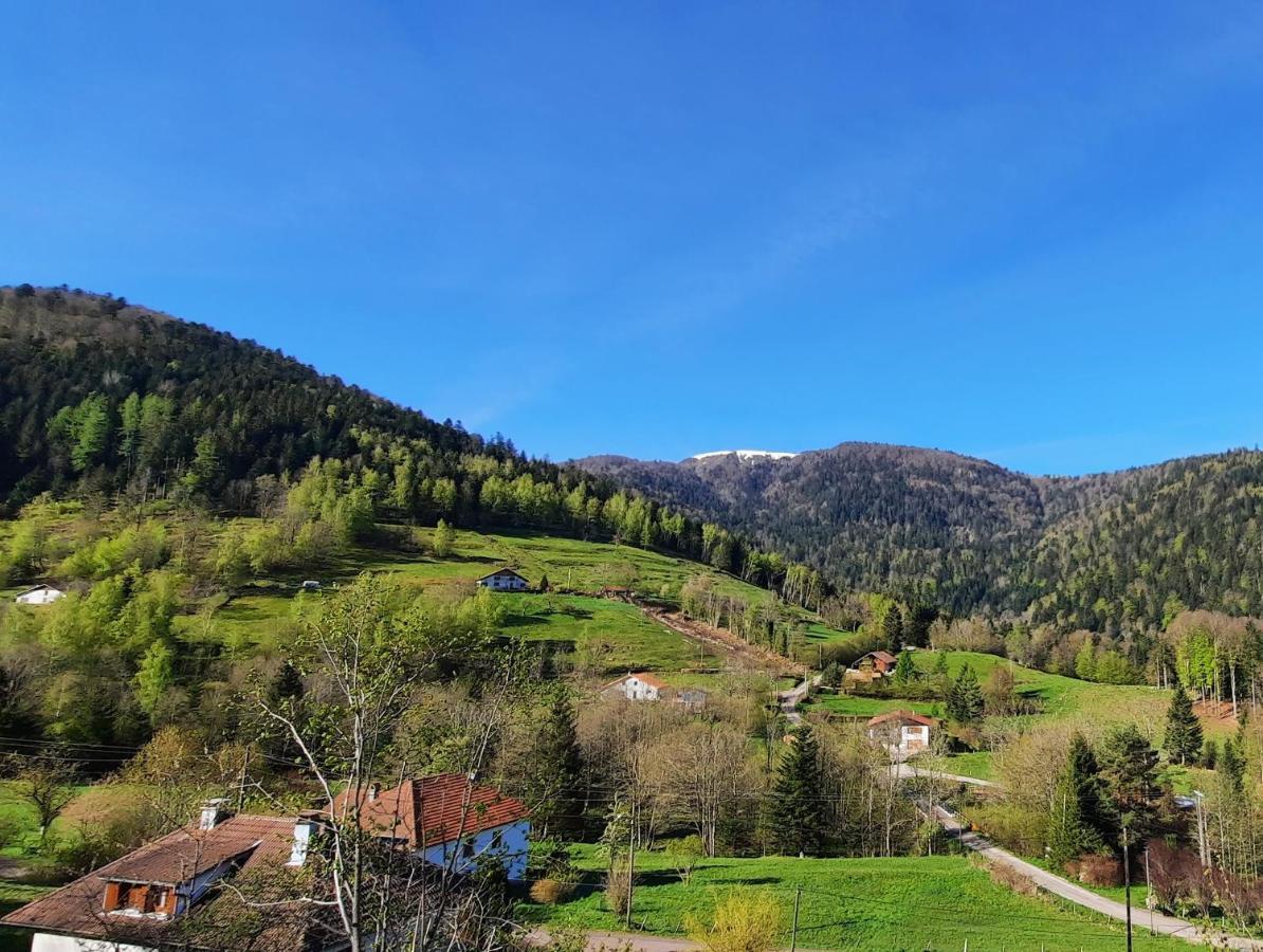 Gite Des 3 Jonquilles Saint-Maurice-sur-Moselle Exterior photo
